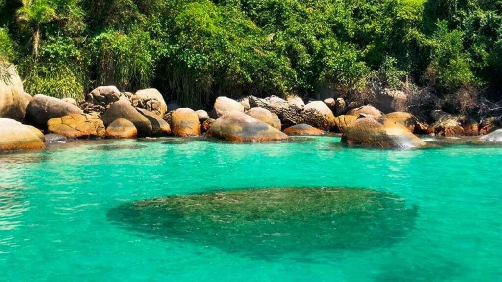 Paraty tem lindas praias, esta tem água limpa, pedras e mata